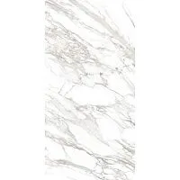 Керамогранит Айс светло-серый мат 60x120 11 мм