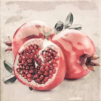 Декор Décor CAMPESTRE-1 (гранат), 20x20