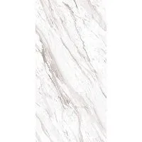 Керамогранит ATLANTA WHITE SILVER GLOSSY CARVING SS глянц 60x120 9 мм арт. СК000042821