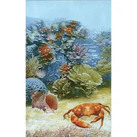 Декор Адриатика 341911 глянц, 25x40