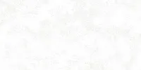 Керамогранит Pav RIGA WHITE лап, 30x60