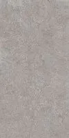 Керамогранит Про Лаймстоун АТ серый натуральный обрезной мат 119,5x238,5 9 мм арт. DD590620R
