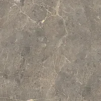 Керамогранит Grigio Imperiale pav matt мат, 60x60, арт. 89195
