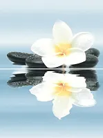 Панно Dream P2-2D185 из 2-х шт глянц, 40x30