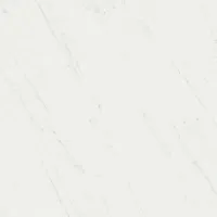 Керамогранит Борсари белый обрезной мат, 50,2x50,2 8,5 мм, арт. SG453520R