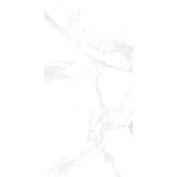 Керамогранит BONY STATUARIO (GLOSSY) глянц 60x120 9 мм