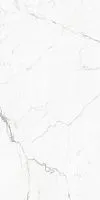 Керамогранит Elegant Statuario GT Бел полир полир 60x120 9 мм арт. GT120604803PR