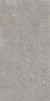Керамогранит Про Лаймстоун АТ серый натуральный обрезной мат, 119,5x238,5, арт. DD590600R