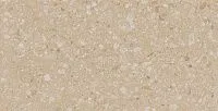 Керамогранит Light Beige JP02 мат 30,6x60,9 8 мм арт. 68860