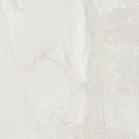 Керамогранит Roma Grey светло-серый глянцевый глянц, 60x60 8 мм