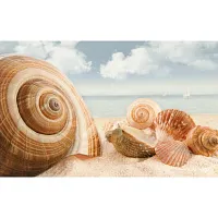 Декор Адриатика "Ракушки" 121917 глянц, 25x40