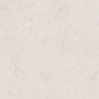 Керамогранит Резиденция бежевый обрезной мат, 50,2x50,2 8,5 мм, арт. SG453920R