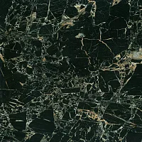 Керамогранит Bien Tiger Black Rec Full Lap полир, 60x60 8,5 мм, арт. BIEN0008