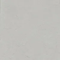 Керамогранит Rsc Titan G, 60x60 9,5 мм