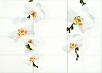 Декор Mono, 25x35, арт. MY2M302D