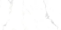 Керамогранит Statuario Classic белый полир, 60x120 9 мм