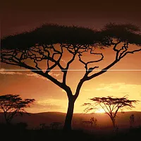 Панно Africa P2-2D210 глянц, 40x40