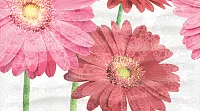Панно Dec Gerbera Panno A глянц, 25x45, арт. КПН16GerberaA
