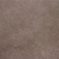 Керамогранит Дайсен Коричневый мат, 60x60 11 мм, арт. (SG610500R)