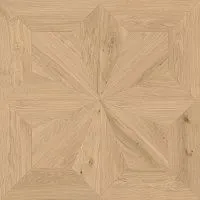 Керамогранит Log Icon Oak Classic Frame мат 120x120 9 мм арт. AX4M