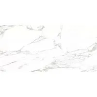 Керамогранит Ellora-lotus лотус мат 60x120 10 мм арт. GRS01-19