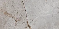 Керамогранит Silver Root полир, 60x120 9 мм
