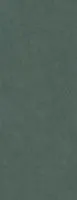Керамогранит Конкрит зеленый обрезной мат 119,5x320 6 мм арт. DD070400R6
