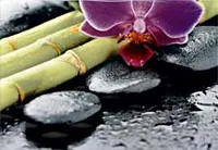 Панно Примавера 7 тип 2, 27,5x40 7,5 мм