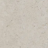Керамогранит Про Лаймстоун бежевый темный натуральный обрезной мат, 60x60 11 мм, арт. DD641100R