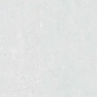 Керамогранит RS 123 WHITE CARVING мат 60x60 8,5 мм арт. СК000043674