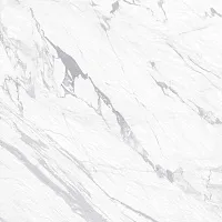 Керамогранит Pegas Silver GP40PEG15R, 60x60 9 мм, арт. sugar