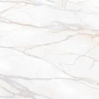 Керамогранит Gold SM02 мат 80x80 11 мм арт. 40314