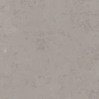 Керамогранит Про Лаймстоун серый натуральный обрезной мат, 60x60 11 мм, арт. DD640900R
