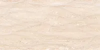 Плитка Ривьера ПО9РВ004 глянц, 24,9x50, арт. TWU09RVR004