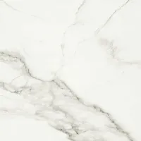 Керамогранит Carrara Premium белый 01 глянц, 60x60 10 мм, арт. 010400000635