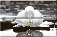 Панно Composicion Wellness White 01 глянц, 30x45