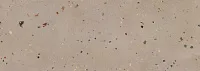 Плитка Terrazzo Mocca, 25,1x70,9, арт. 507571101