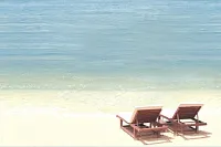 Декор Mauritius D5D138 глянц, 20x30