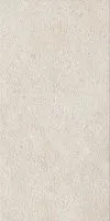 Керамогранит Фоссил Пьюр Рет Х2 структур 60x120 20 мм арт. 610010004082
