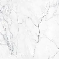 Плитка Arina глянц, 41,8x41,8 8 мм, арт. TFU03ARA000