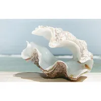 Декор Адриатика "Ракушки" 121914 глянц, 25x40