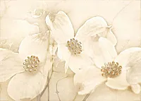 Декор Tuti вставка бежевая глянц, 25x35, арт. (TG2M011DT)