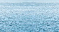 Декор Dec Regata 5 глянц, 25x45, арт. КВС16Regata5