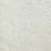 Керамогранит PSA 6033 серый перламутр полир, 60x60 9,5 мм