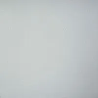 Керамогранит Профи св-серый матовый мат 60x60 10 мм арт. GT009M