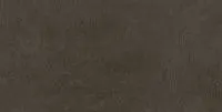 Керамогранит Про Фьюче коричневый обрезной мат, 60x119,5 11 мм, арт. DD592800R