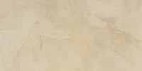 Керамогранит Golden Cream Lux MJZH полир, 29x58