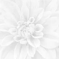 Панно Crisantemo глянц, 60x60 9 мм, арт. 36-05-00-463-0