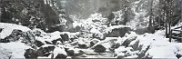 Декор Torrent Decor D, 25,1x75,6