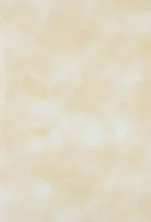 Плитка Валентино Светло-Песочный (VLS-S) глянц, 20x30